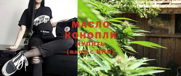 гашик Ладушкин