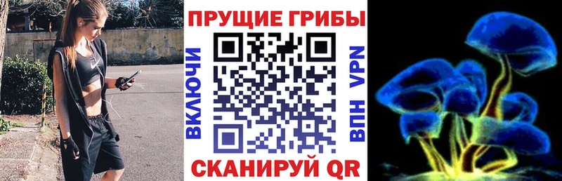 блэк спрут ссылка  Лагань  Псилоцибиновые грибы MAGIC MUSHROOMS  продажа наркотиков 